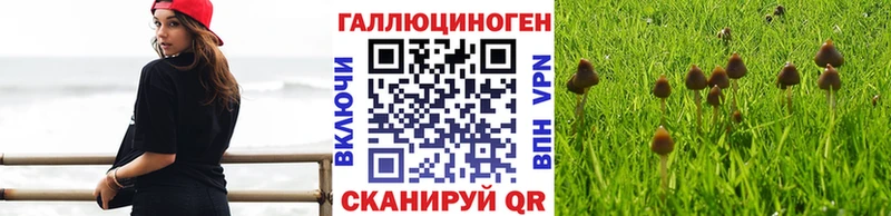 Галлюциногенные грибы ЛСД Алейск
