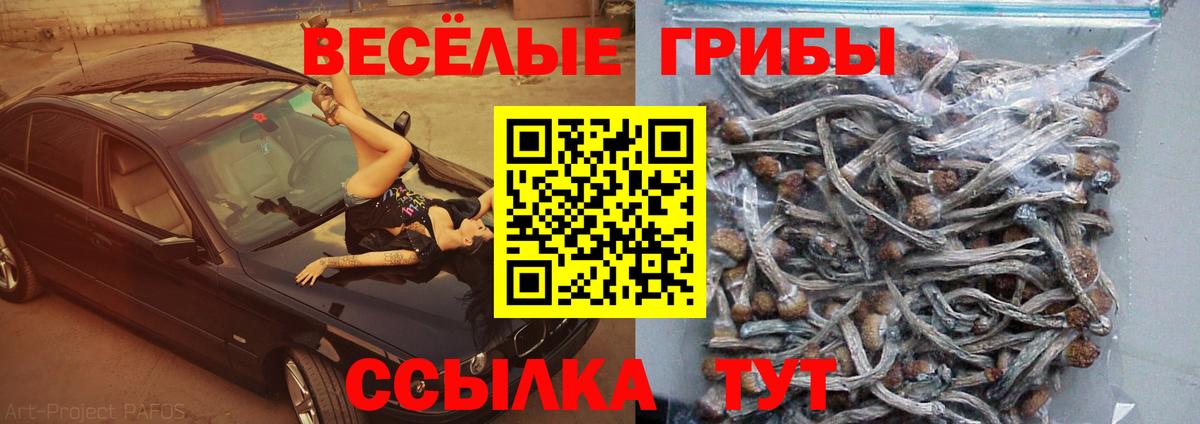 Галлюциногенные грибы ЛСД  Псилоцибиновые грибы мицелий  Алейск  Вход с VPN 